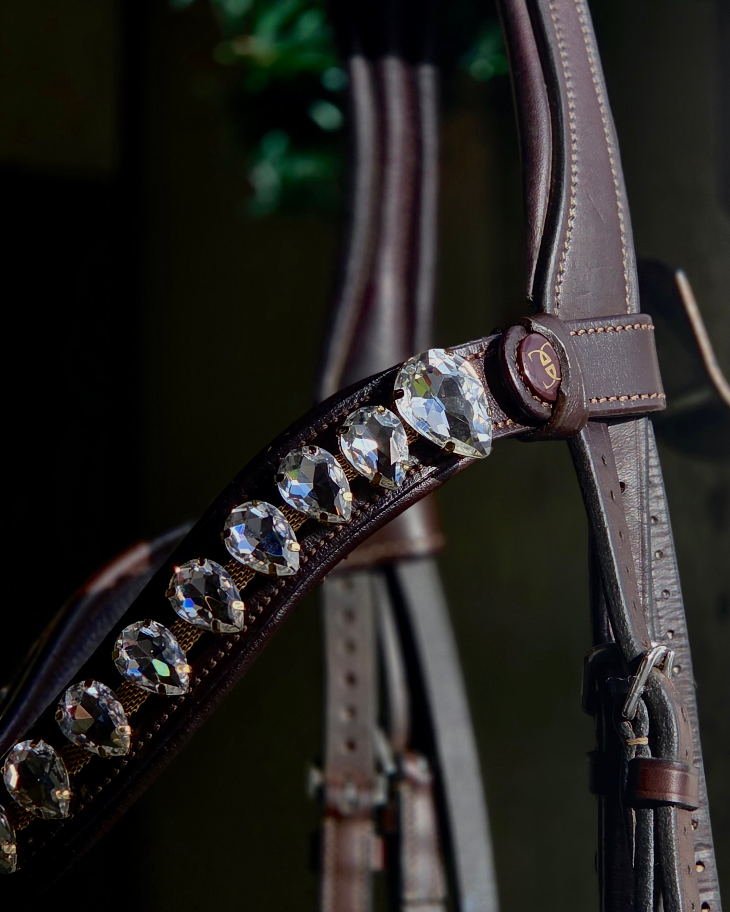 CC Browband / Black
